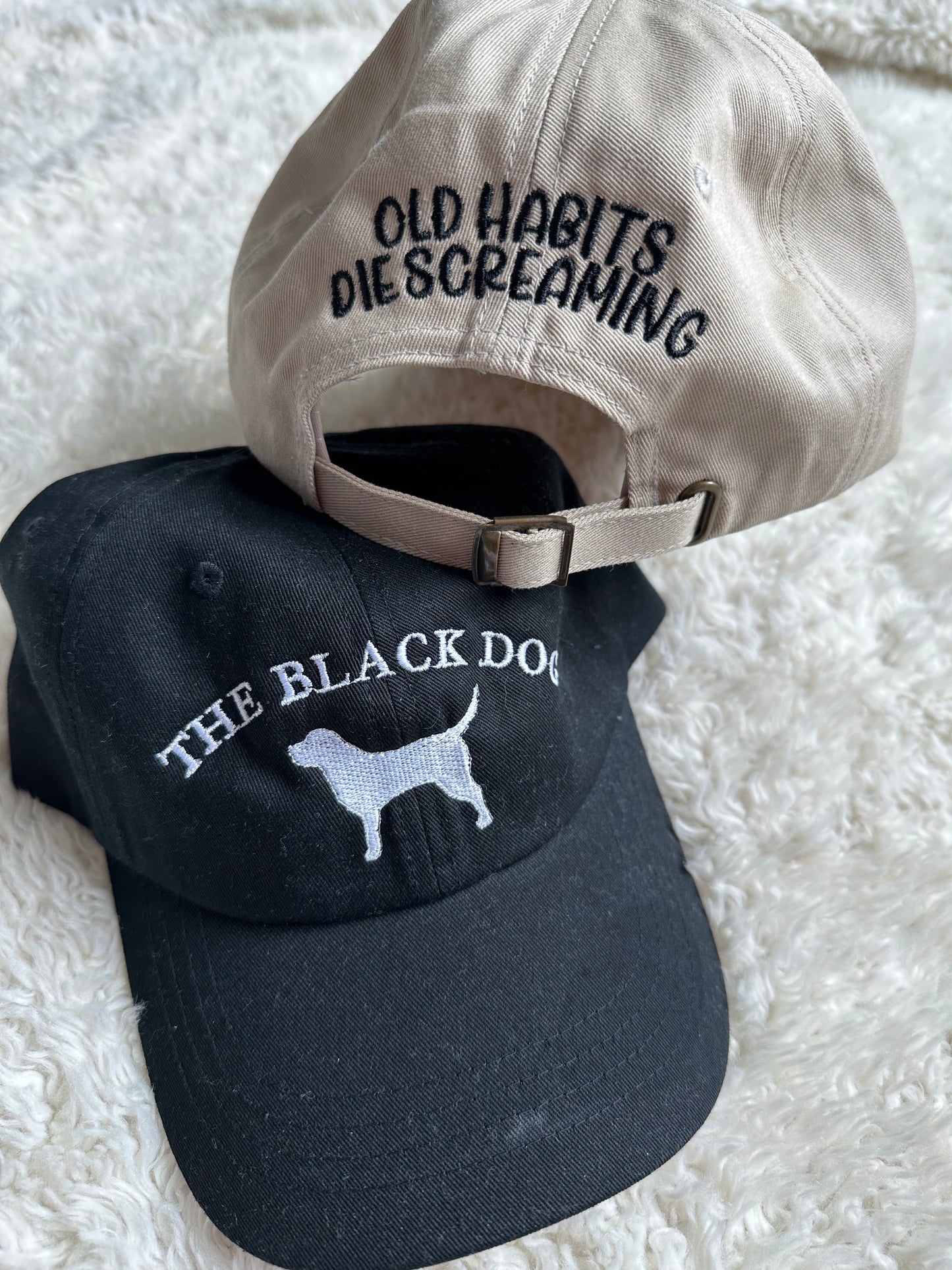 The Black Dog Hat | TTPD Merch | Old Habits Die Screaming| Swiftie