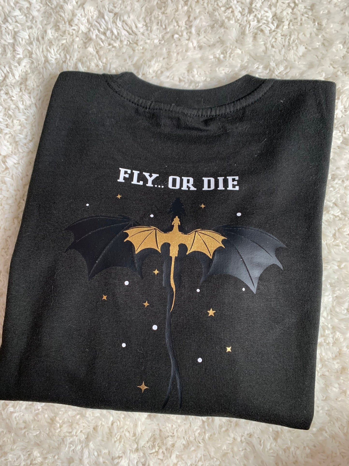 Dragon Riders Quadrant Fourth Wing Inspired Embroidered Sweatshirt