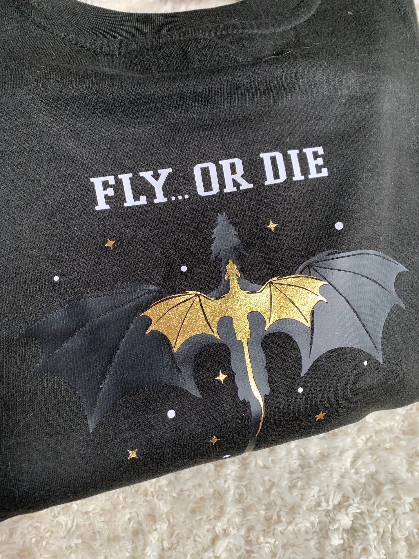 Dragon Riders Quadrant Fourth Wing Inspired Embroidered Sweatshirt